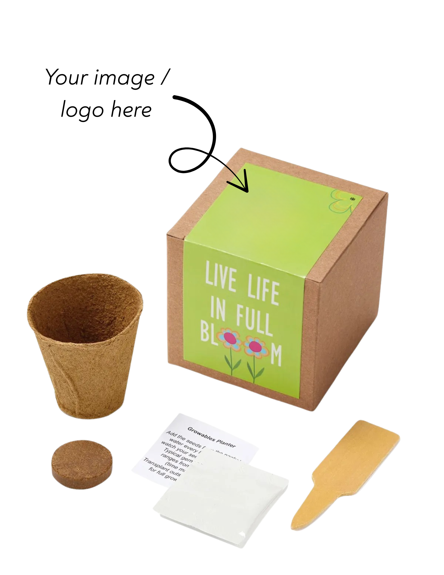 Inspirational Live Life Growable Seed Planter Kit - Stecker Creations